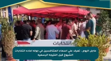 عاجل اليوم.. تعرف على أسماء المتنافسين في جولة إعادة انتخابات الشيوخ قبل النتيجة الرسمية